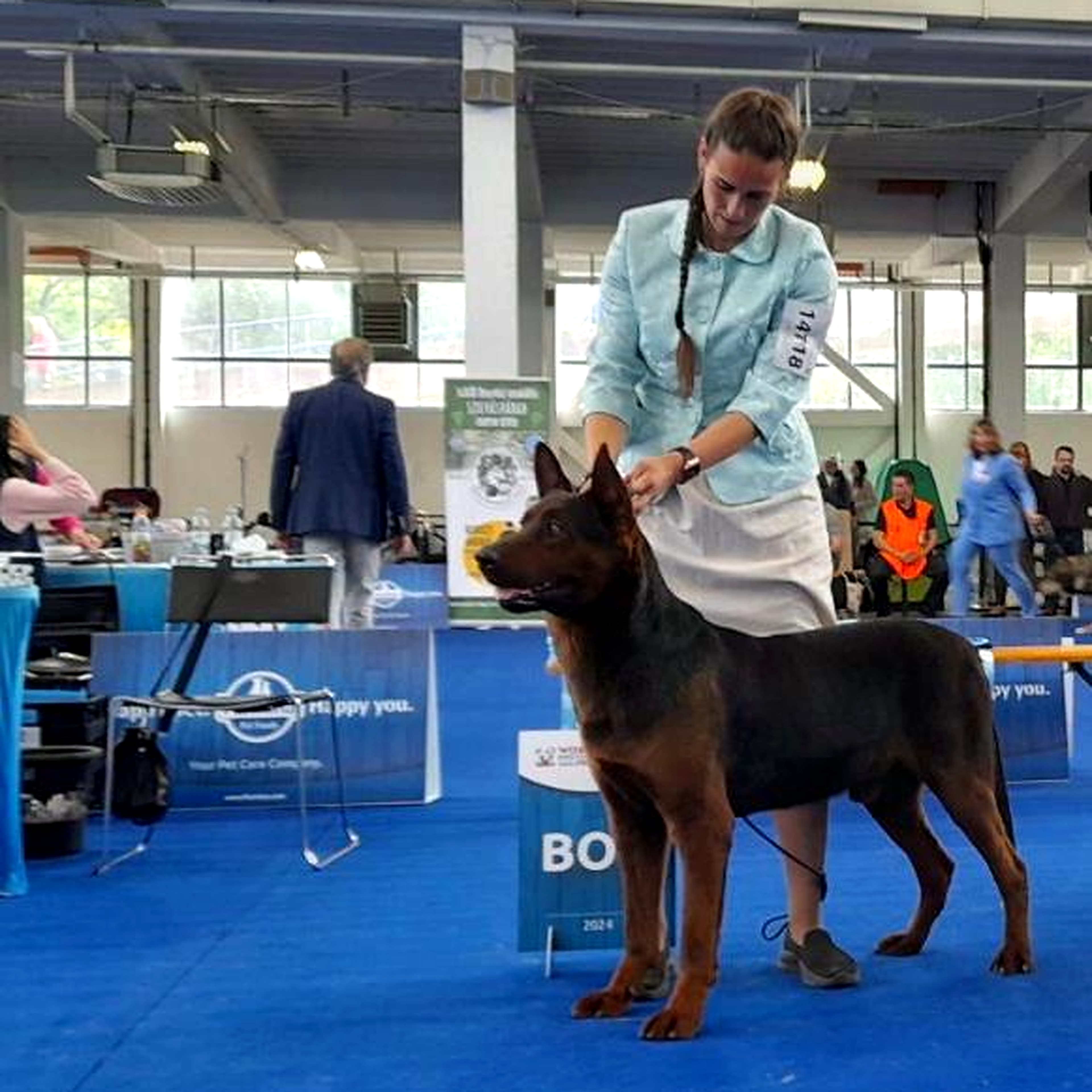 Laizhou Hong em ambiente externo, demonstrando porte e estrutura
