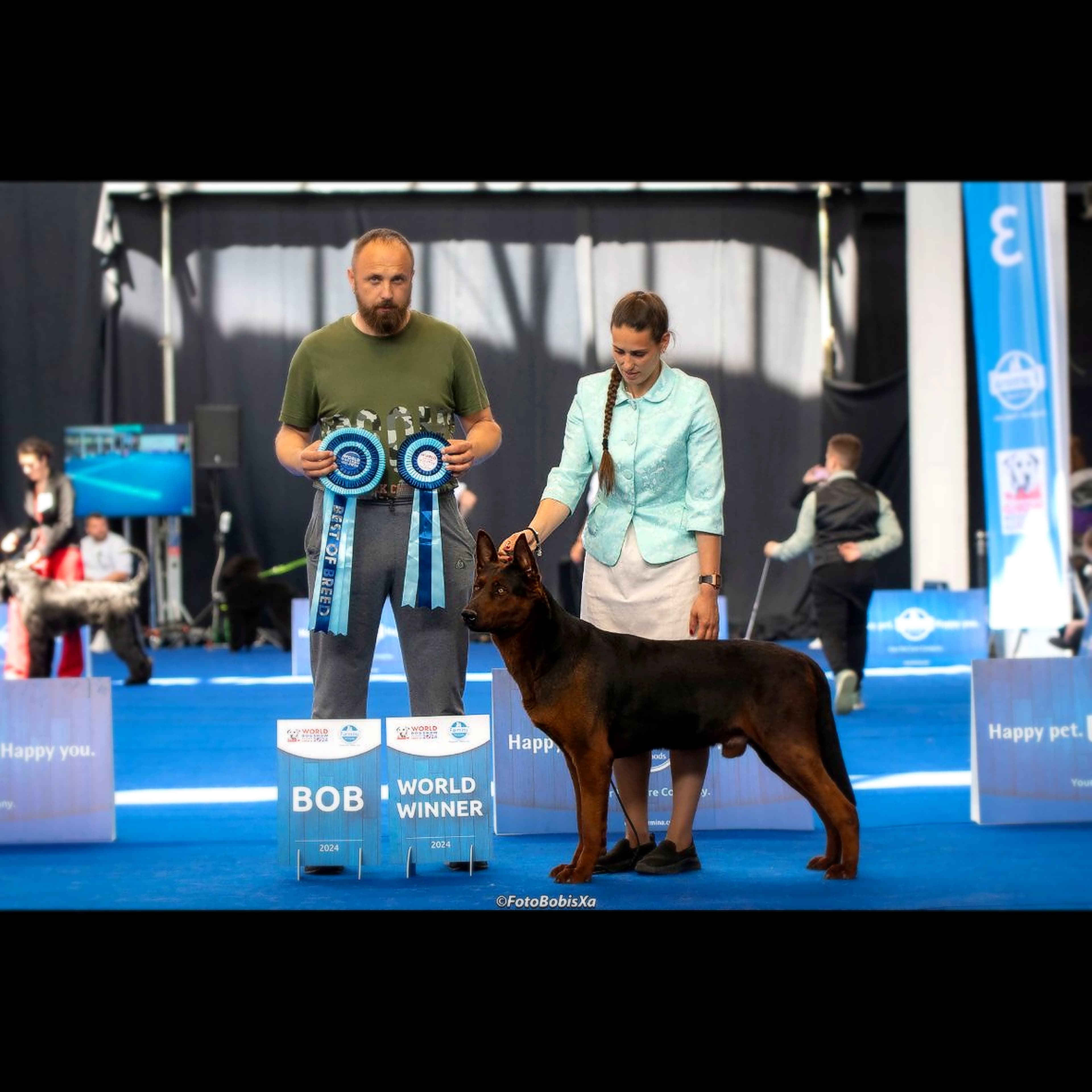 Filhote de Laizhou Hong com pelagem preta e marrom acobreada